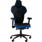 Backforce V Plus